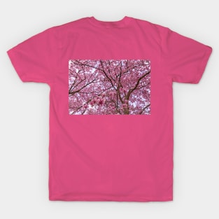 Pink Flower Explosion T-Shirt